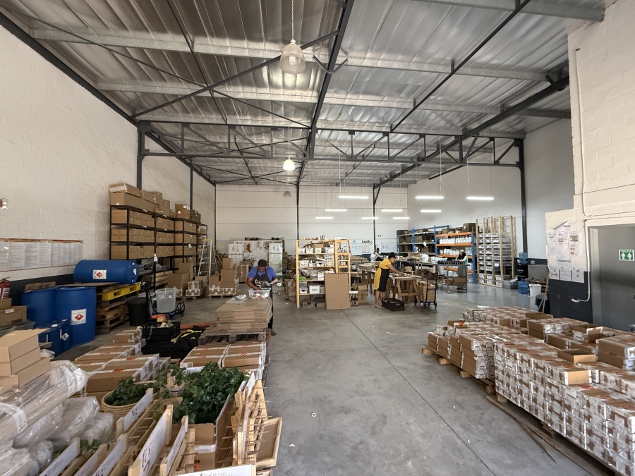 To Let Commercial Property for Rent in Rivergate Western Cape